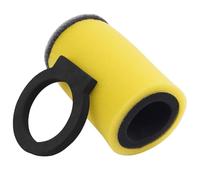 Road Passion Filtro Aria 1YW-14451-00-00 1YW-14451-01 Compatibile con YAMAHA YFM350FW BIG BEAR 350 1995-1996/ YFM350FWB 1997 1999/ YFM350U BI-G B-EAR 1999/ YFM350U B-IG BEA-R 350 1996