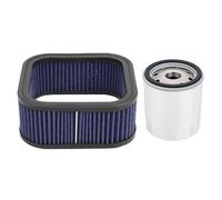 Road Passion HD-1102 Filtro Aria+Filtro Olio Compatibile con Harley VRSCA V-Rod,VRSCAW V-Rod,VRSCB V-Rod,VRSCD Night Rod,RSCDX Night Rod,VRSCF V-Rod Muscle,VRSCR Street Rod 29437-01 EO82A6 29437-01A