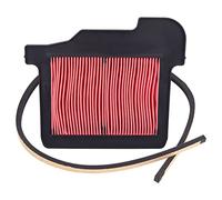 Road Passion Motociclette Filtri Aria Compatibile con Yamaha MT-09 2014-2019/ FZ-09 2014-2019/ FJ-09 2015-2019/ XSR900 2016-2021/ Tracer 900 2017-2019