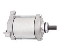 Road Passion Motorino di Avviamento Startermotor E-Starter Compatibile con Fit for Kawasaki ZX1000 ZX-10R Ninja 2011 2012 2013 2014 2015 2016 2017 2018 2019 2020 2021 21163-0064