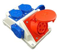 RoadEu - Presa Combinata da Parete 16A 5P con 4x Prese 230V, Presa CEE 16A, Presa Industriale IP44 per Interni ed Esterni, Componenti PCE