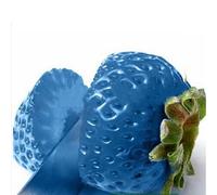 Roadoor 100 Pezzi Erdbeersamen Nährwertige Köstliche Seltene Farben Obst Gemüse Samen Gartensamen für Das Pflanzen Jetzt Blu