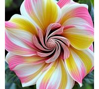 Roadoor 2000 PCS Hibiskus Samen für Das Pflanzen von Mehrjährigen Blumen Samen Grandiflora Hibiscus Nicht-gvo Samen für Home Yard Patio E