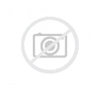 Pneumatici Estivi Gomme ROADSTONE 255/40 R18 99Y N FERA SU1 XL☀️