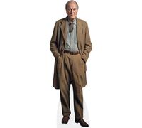 Roald Dahl (Brown Suit) a grandezza naturale