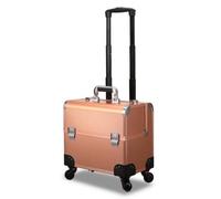 RoamTerroe Valigia Trucco Professionale Trolley Organizer Porta Cosmetici Estetista Valigetta Make Up Rigida Carrello Struttura Involucro Duro E Manico