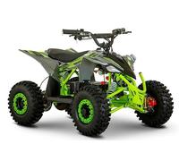 Roan-Ratte Mini quad elettrico 1200 48V, Verde