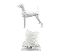 RoaQinFo Manichino Toelettatura Cane Addestramento Modello Cane Pratica Cane Snodato Scheletro Articolato Posizionabile Realistico Adatto per Formazione Salone, style to 5