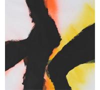 Mazurek, Rob & Emmet - Alien Flower Sutra