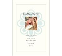 Robbie E. Davis-Floyd Birth Models That Work (Tascabile)