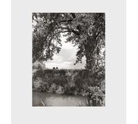 Robert Adams: Cottonwoods by Robert Adams