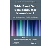 Robert Baptist Wide Band Gap Semiconductor Nanowires 1 (Copertina rigida)