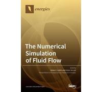 Robert Castilla Anton Ver The Numerical Simulation of Fluid F (Copertina rigida)