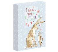 Robert Frederick - Album fotografico ritratto in confezione regalo, motivo: Guess How Much I Love You Design, contiene 100 fotografie