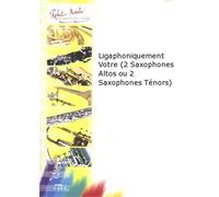 ROBERT MARTIN SOLVES J.P - LIGAPHONIQUEMENT VOTRE