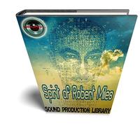 ROBERT MILES - Unico 24bit SOUND LIBRERIA PERFETTO ORIGINALE da Robert Miles Studio sessione su DVD o per il download.