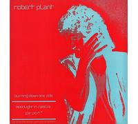 Robert Plant - Burning Down One Side