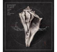 Robert Plant Lullaby And...the Ceaseless Roar (Vinyl LP) 12" Album