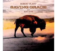 ROBERT PLANT - Saving Grace LP Fruit Punch Vinyl SIGNED Art Card