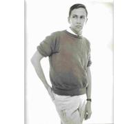 Robert Rauschenberg: Combines