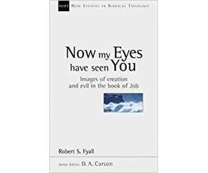 Robert S Fyall Now My Eyes Have Seen You (Tascabile)