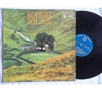 Robert Wilson - ROBERT WILSON Down in the Glen vinyl LP
