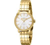 Roberto Cavalli Roberto Cavalli Lady - Orologio Da Polso Da Donna Al Quarzo Moda Bracciale E Cassa In Acciaio Inox Di Colore Oro Quadrante Analogico Grigio - RC5L116M0055
