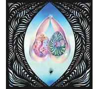 Roberto Laneri Magister Perotinus Meets The Jedi Masters (Vinyl LP)