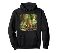 Robin Bird Forest Fauna Selvatica, Scena Boschiva Felpa con Cappuccio