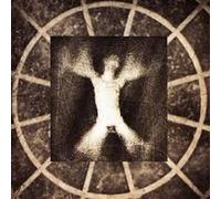 Robin Taylor - Cloze Test Terror