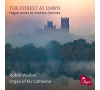 Andrew Downes The Forest at Dawn: Organ Works By Andrew Downes (CD)