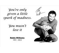 Robin Williams motivazionale Inspirational quote Sign poster stampa you' re Only given a little Spark of Madness...