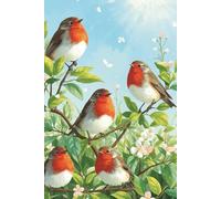 Robins Notebook: Journal with 160 Blank Plain Unruled Cream Pages for Sketching, Notes, Thoughts, Ideas, Creativity, Students, Office and Nature Observations | 6" x 9" | Softcover or Hardcover