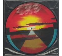 Robinson, Chris - Dice Game And Let It Fall