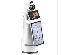 Robot di servizio intelligente, corpo in lamiera ABS con doppio sistema di navigazione laser, interazione multilingue, adatto per la reception dell'ingresso dell'hotel, la guida di riunioni di lavoro