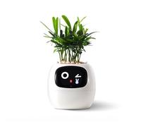 Robot intelligente per piante con emoji per la cura delle piante, incantevole compagno di piante con interazione gestuale, vaso da giardino come regalo per la scrivania (bianco)