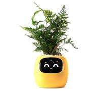 Robot intelligente per piante con emoji per la cura delle piante, incantevole compagno di piante con interazione gestuale, vaso da giardino come regalo per la scrivania (giallo)