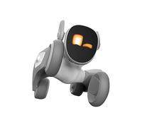 ROBOT INTERATTIVO LOONA
