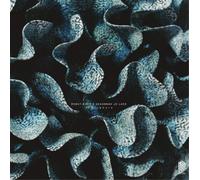 Robot Koch/Savannah Jo Lack Robot Koch & Savannah Jo Lack: Otherwhere (Vinyl LP)