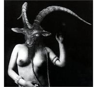 Robot vs. Rabbit - Trading The Witch For The Devil