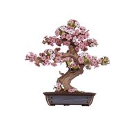 Robotime Rolife Puzzle 3D in legno Sakura Bonsai Facile montaggio Kit bonsai di pino per sempreverde Regalo di Natale per la decorazione della casa di famiglia