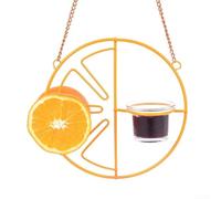 Robusta mangiatoia per uccelli in ferro per Orioles design trasparente per godersi il birdwatching contiene facilmente gelatina, metà arancione e vermi della farina