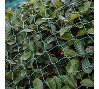 Robusta rete per gatti per finestre, senza fori, rete di protezione per uccelli, 4 x 10 m, 1,5 x 1,5 cm, rete da giardino a trama fitta per la difesa degli uccelli e la protezione delle piante