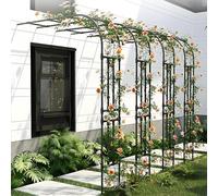 Robuste pour Plantes - Grande Arche de Mariage, 220 cm x 240 cm, Arceau à Rosiers Facile à Assembler pour Terrasse, Pelouse et Patio