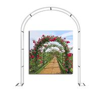 Robusto arco da giardino in metallo per matrimoni e rose, resistente alle intemperie e antiruggine, ideale per interni ed esterni (bianco, 120 x 220 cm)
