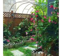 Robusto, in metallo, arco, per piante rampicanti, resistenti alle intemperie, in ferro, rosa, traliccio per esterni, giardino, patio, decorazione perfetta per viti e fiori