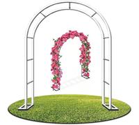 Robusto supporto per rose in metallo, traliccio per piante rampicanti, decorazione per esterni, resistente alle intemperie, bianco, 120 x 220 cm, ideale per balconi e giardini