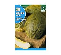 Rocalba s-610503 Semilla Melon piñonet - 10 Pezzi
