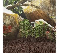 Rocce Vulcaniche 25 kg Rosse 1-2 cm
