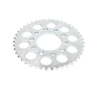 Pignone posteriore JTR 1334,43